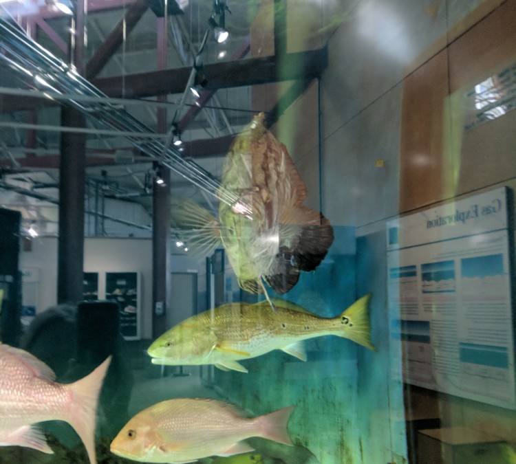 Alabama Aquarium at the Dauphin Island Sea Lab (Dauphin&nbspIsland,&nbspAL)